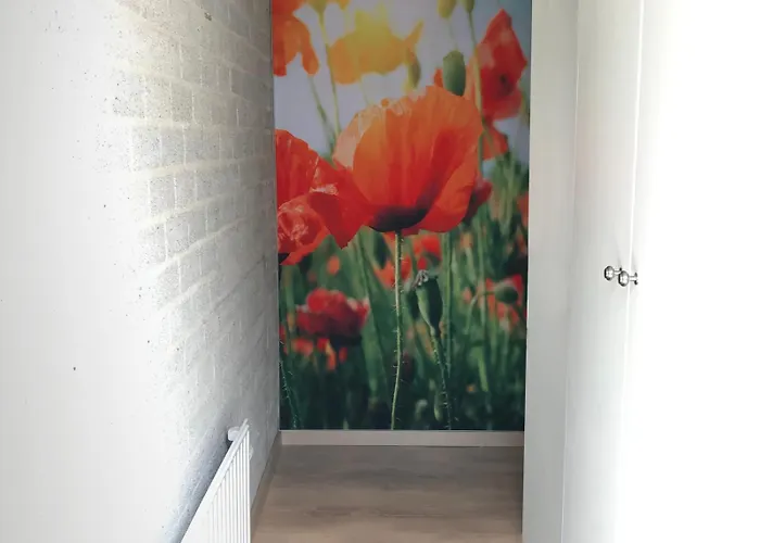 Tatil Evi Vlier 10 - Klepperstee Not Intended For Company Or Work-related Ouddorp